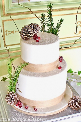 Natural Winter Wedding Cake